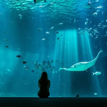 Caprices Des Vagues - A 300 M De La Et A 4 Kilometres De Nausicaa, Place De Parking Privee, Eau Douce, Netflix, Primes Video, Wifi Debit *